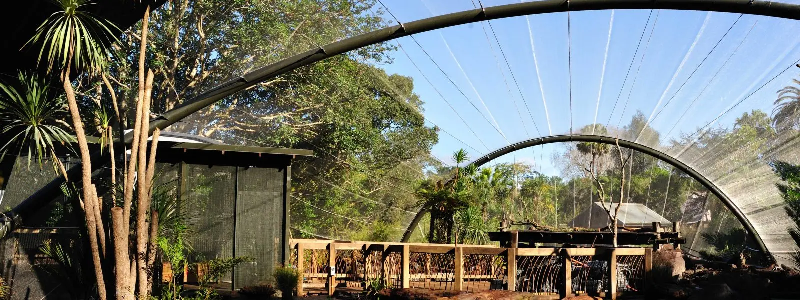 Auckland Zoo — Te Wao Nui — structural steel supplied and erected by Steelpac for NZ Strong.